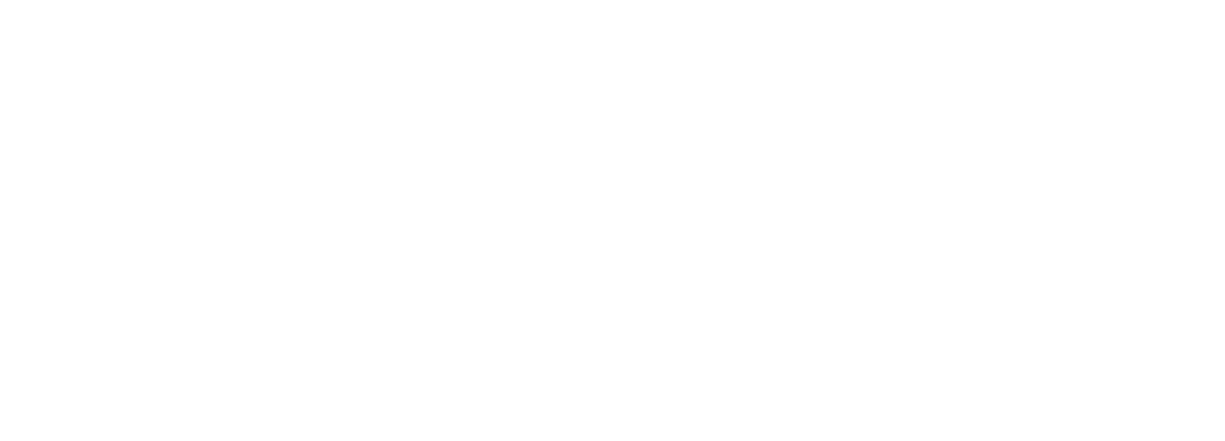 LUTZE DGM logo final white